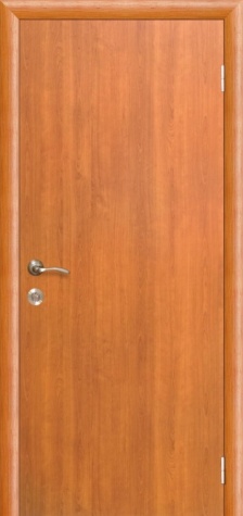 Дверь с глухим полотном